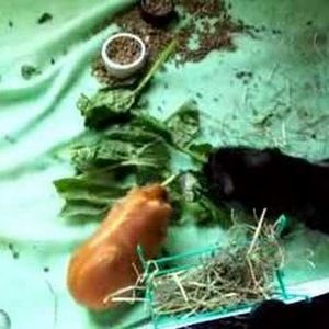 Meet your Posher, Jon